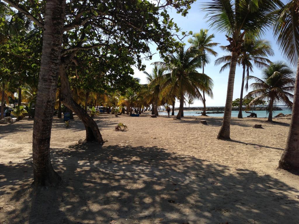 Lapayoma Sainte-Anne (Grande-Terre)